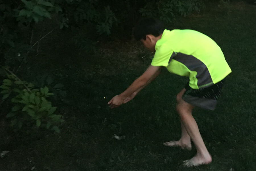 Catching fireflies and memories