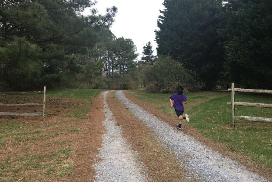 Speeding through life