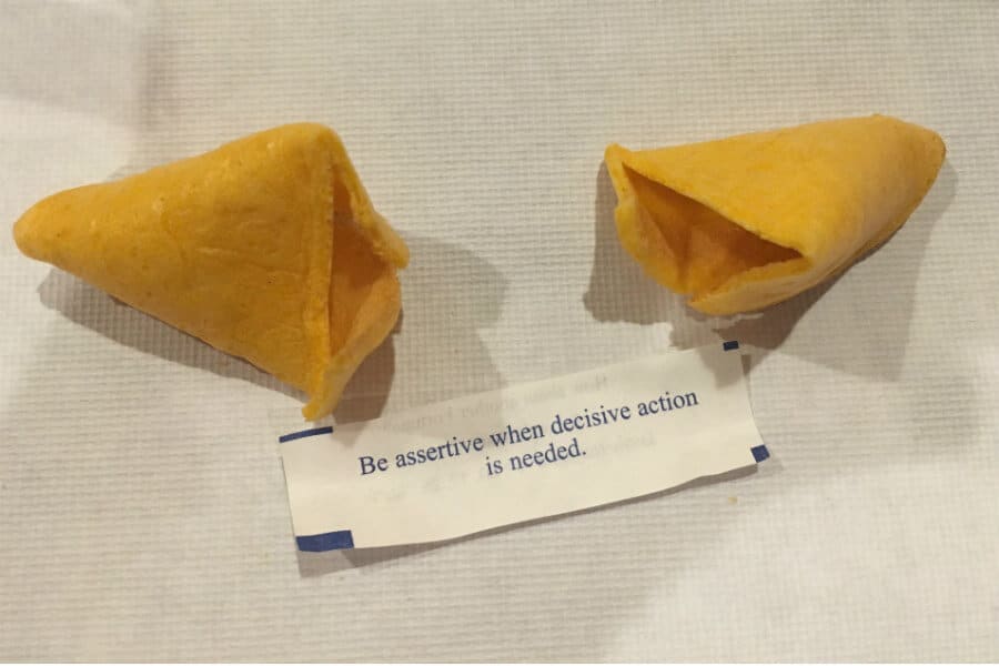 Chinese New Year, electricity problems, sewing bunnies, the soup of the day, and a recent brush with fame (7 Quick Takes)