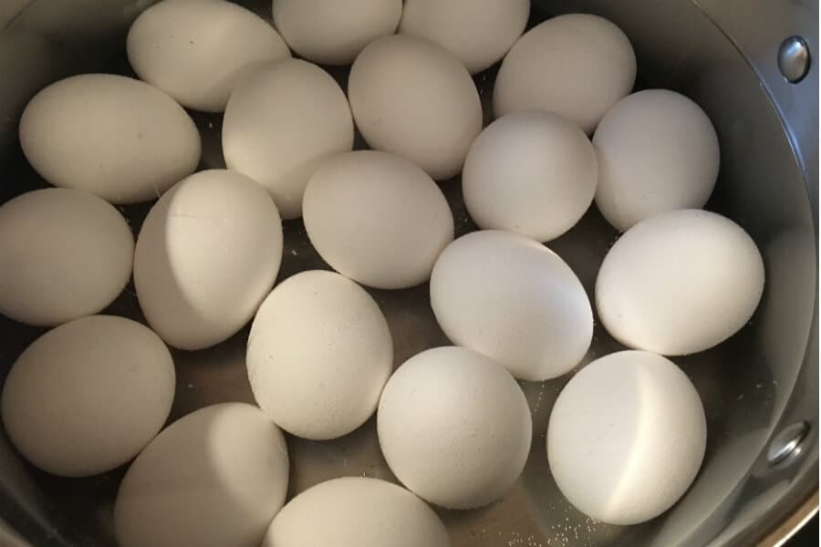 Boiling eggs, a new teakettle, a Garmin for Jesus, and more (7 Quick Takes)