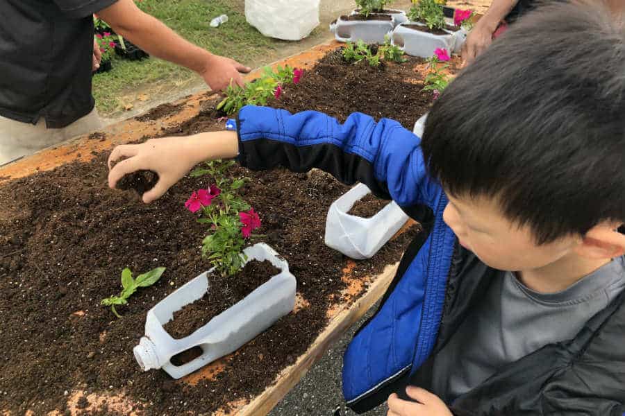 A field trip, little league, a new flyswatter, chocolate chip cookie dough yogurt, and more (7 Quick Takes)