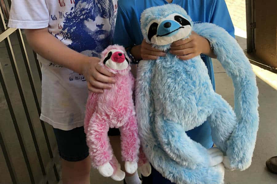 Cookies for breakfast and sloths for everyone (or what we do on a beach vacation)