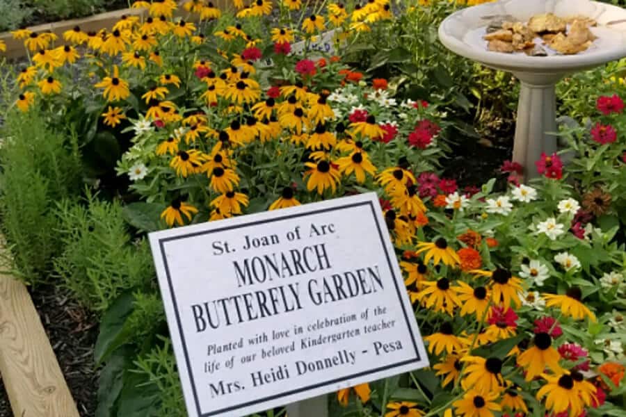 The Butterfly Effect: Remembering Mrs. Pesa