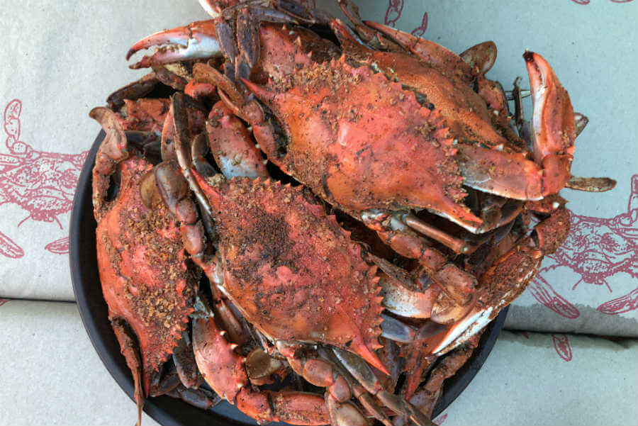 Crabs, beware aunts bearing gifts, a photo with Cal Ripken, and what we need from the grocery store (7 Quick Takes)