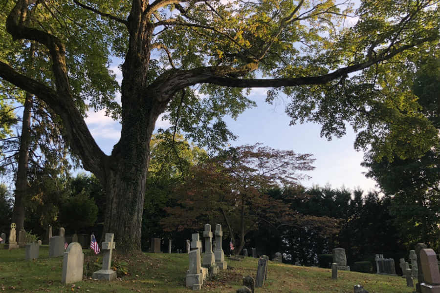 Names & Numbers: Remembering lay contributors