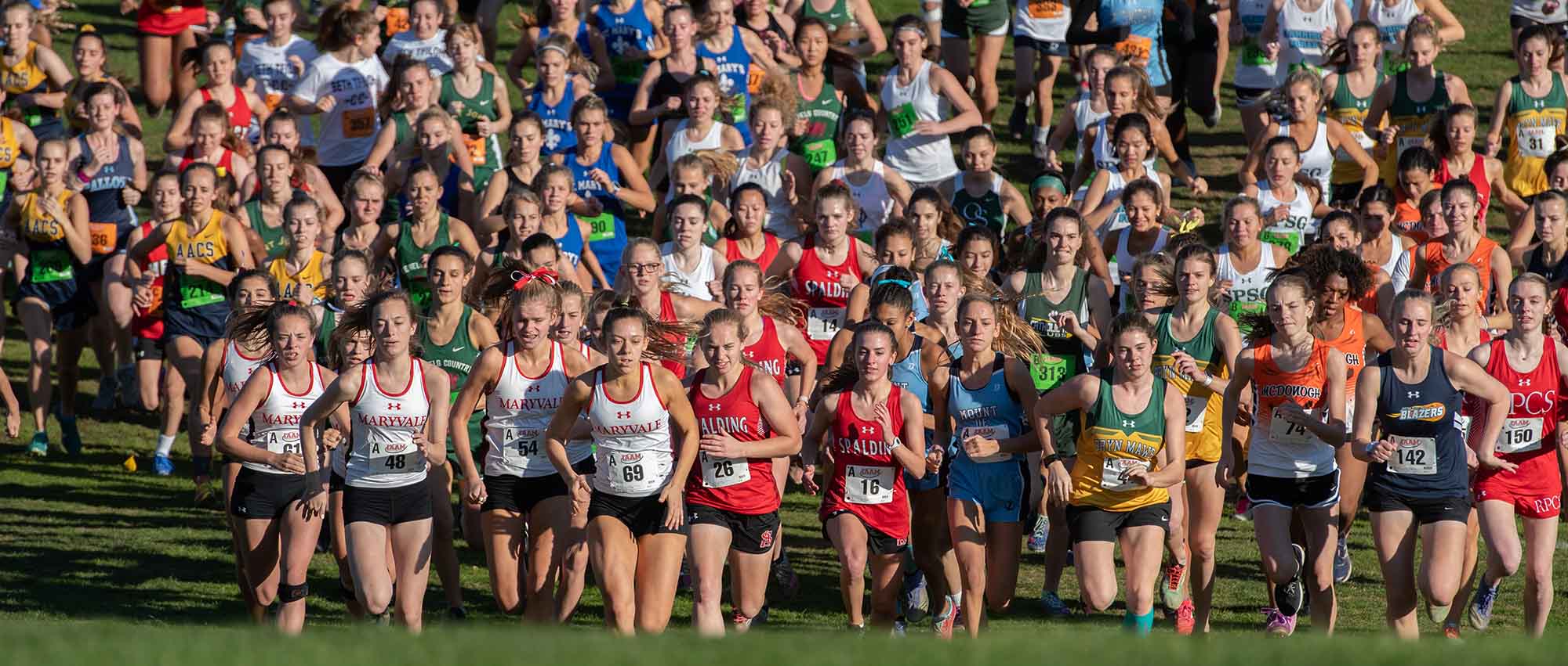 Mount de Sales goes the distance to historic IAAM cross country title 