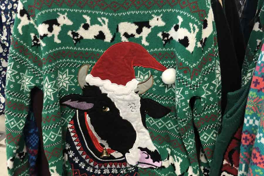 Christmas sweaters and lights, birthday celebrations, sharks, and rice (7 Quick Takes)