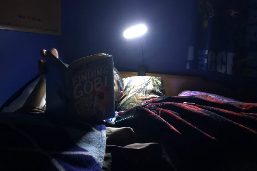 Excited about reading, a late Christmas gift, taking down the tree, and more (7 Quick Takes)
