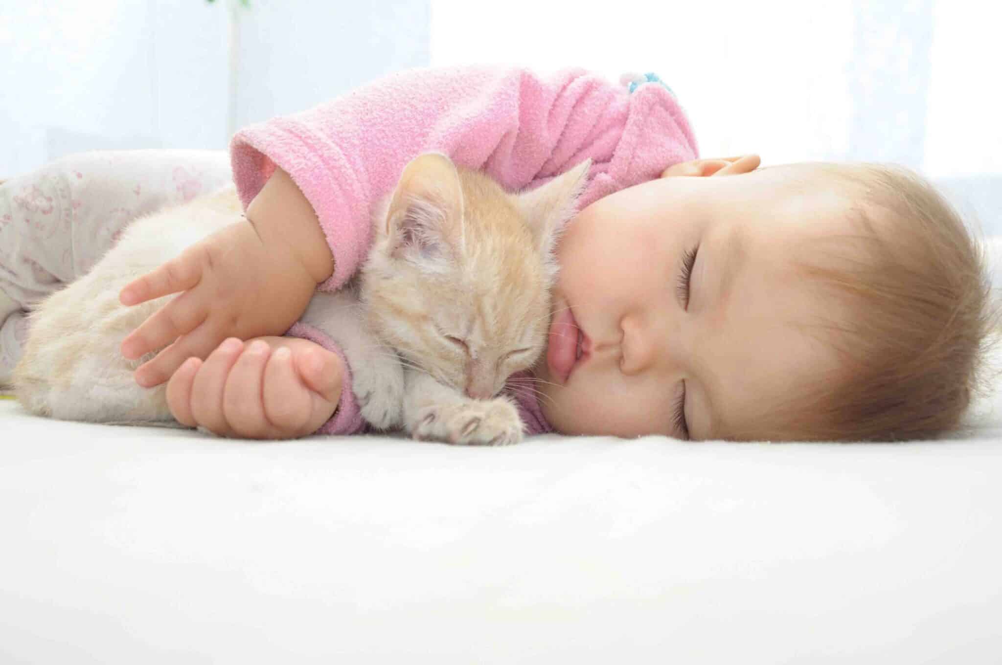 Kittens and babies