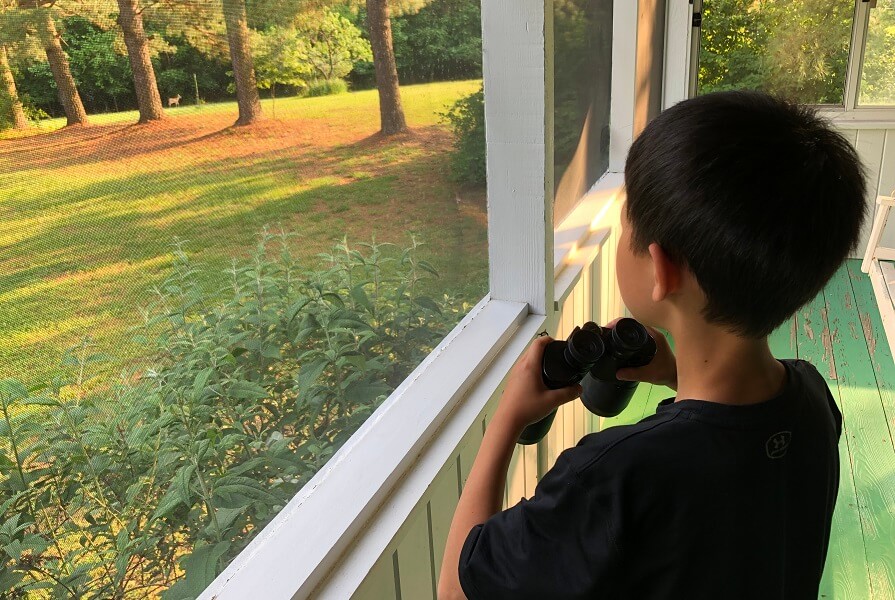 A love of nature, pizza delivery, National Donut Day, a moment of fame, and more (7 Quick Takes)