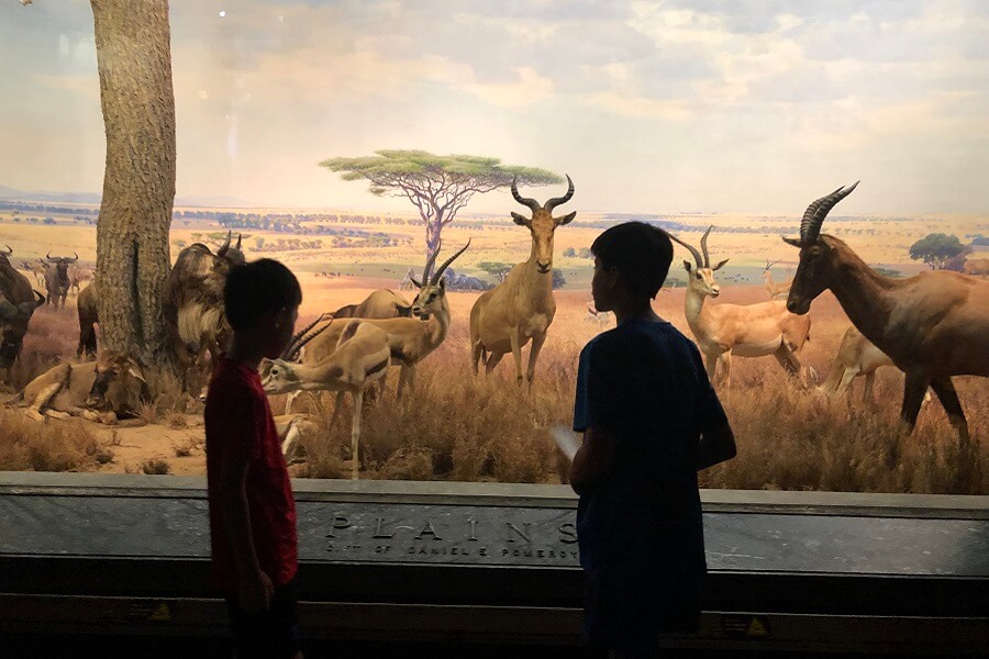 A visit to New York City, a family dinosaur, and vying for aunt of the day (7 Quick Takes)