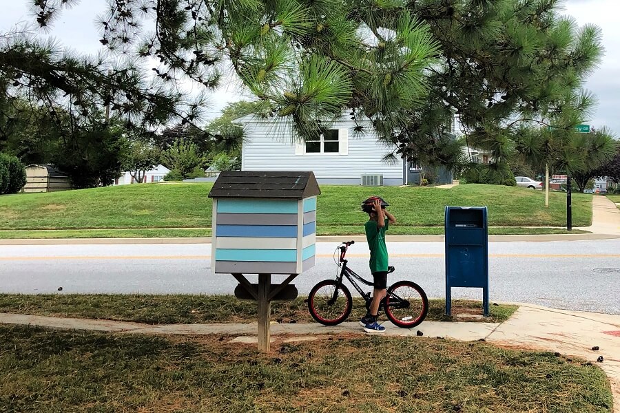 A neighborhood walk, our utensil drawer, puzzles, guacamole, and my newest pins (7 Quick Takes)