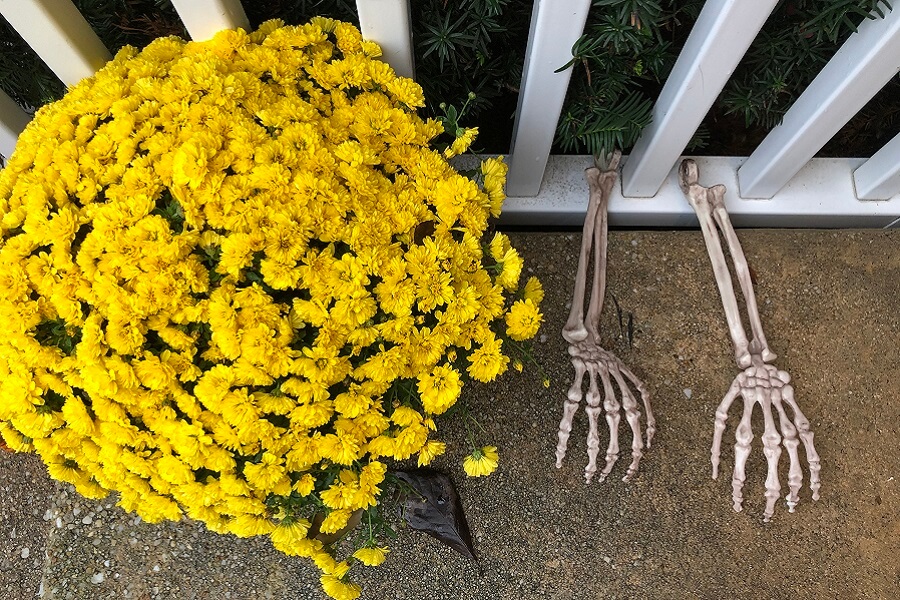 Halloween costumes and emotions, November prayers, St. Verdiana, and more (7 Quick Takes)