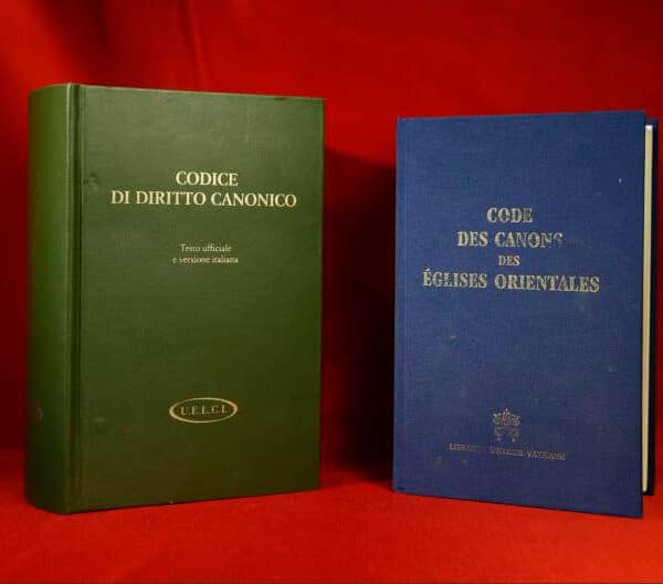Pope says revision of canon law section on crime, penalties is necessary