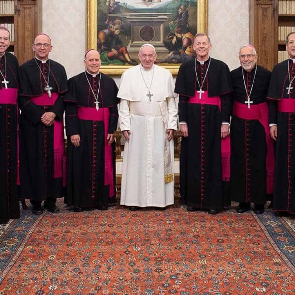 U.S. bishops ask pope about Amazon synod, discuss range of issues