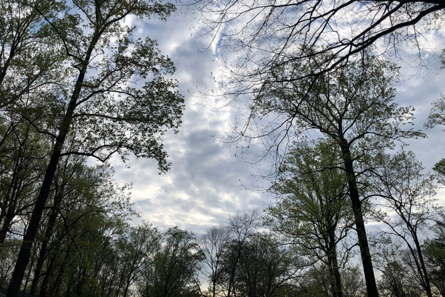 Finding hope in the beauty of God’s creation