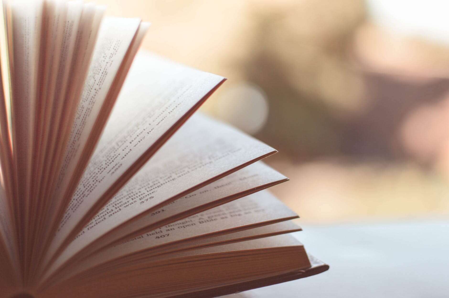 Lessons from the novel ‘The Plague’