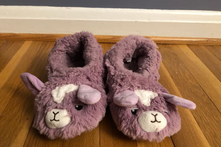 “Do my llama slippers need an Instagram account?” and other pandemic questions