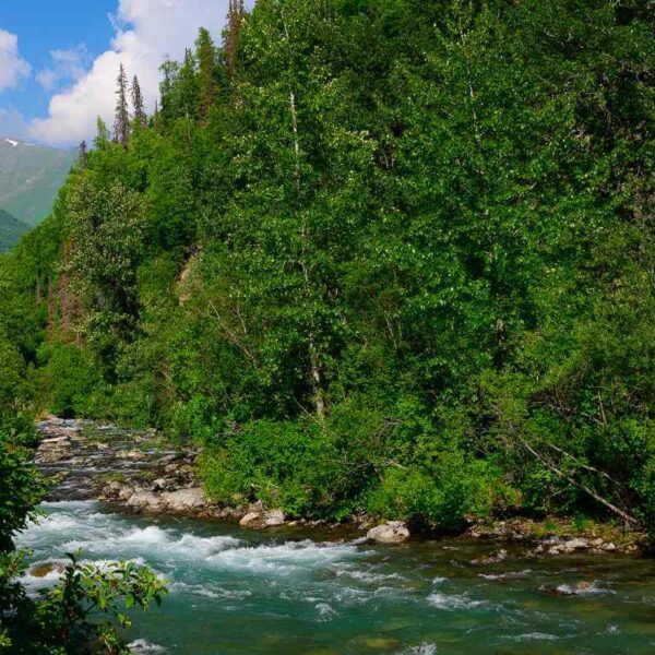 Five years after Laudato Si, and 50 after the first Earth Day