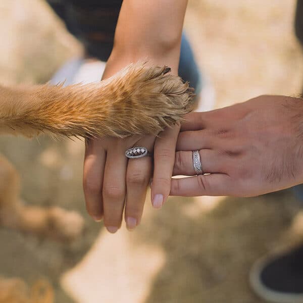 Not just a dog