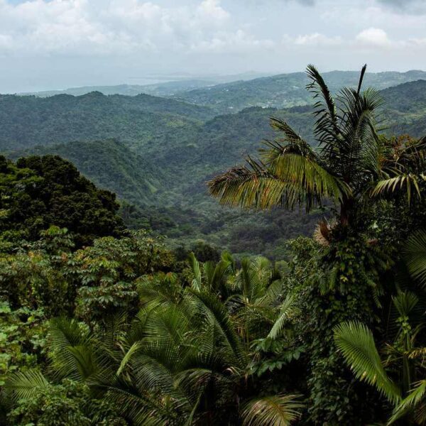Creation is sacred gift deserving respect, care, pope says on Earth Day