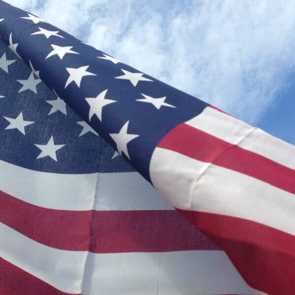 Finches and freedom