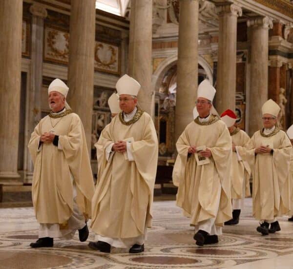 Why “What are the Bishops Doing About it?” is the Wrong Question