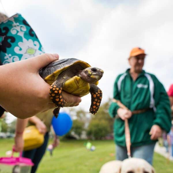 Where to get your pet blessed this weekend in the Archdiocese of Baltimore