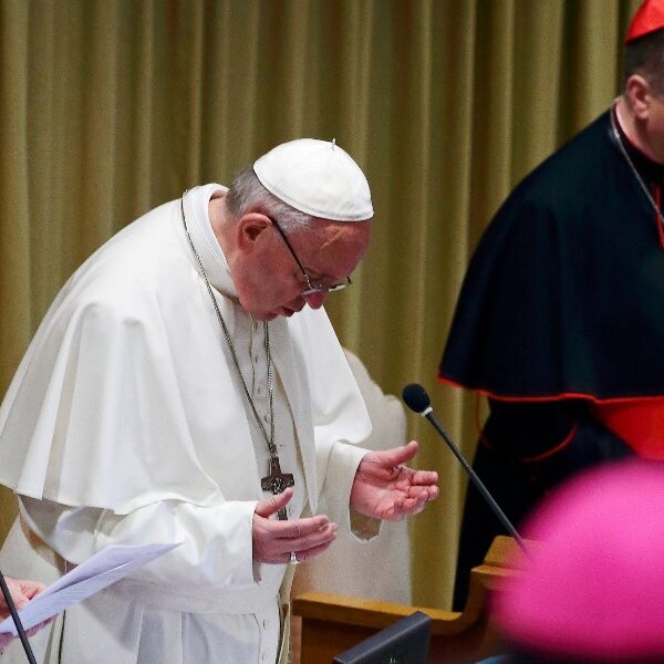 Fighting abuse: What Pope Francis has done during his pontificate