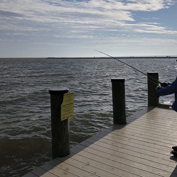 Gone fishing…in December