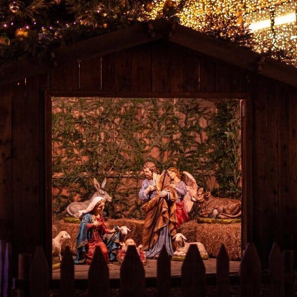 Brighten the tangled night