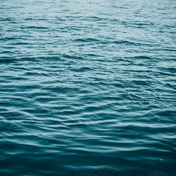 Were the apostles baptized?/ What should a homily be about?