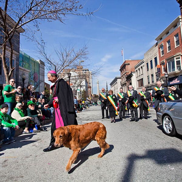 Faithful companion: Bayley helps Archbishop Lori unwind