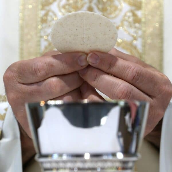 Catholics need better understanding of the Mass, pope says