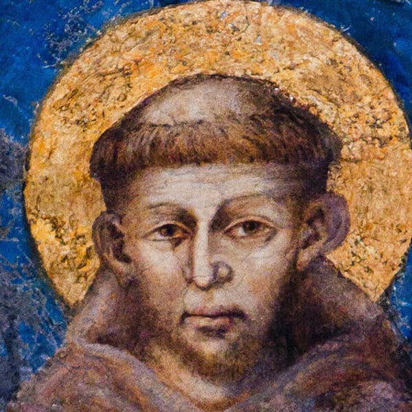 Vatican marks ecology saint’s feast day with film premiere, climate accords