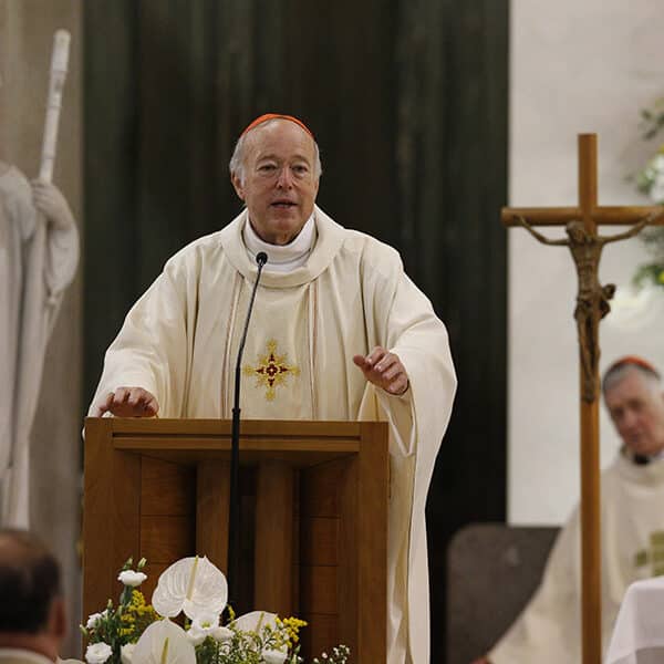 Pope appoints new cardinals as members of dicasteries