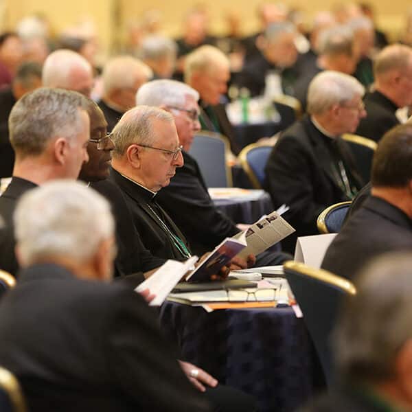 Bishops approve English, Spanish documents on lay ministry to the sick