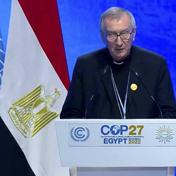 Cardinal tells leaders at COP27 they have duty to act on climate change