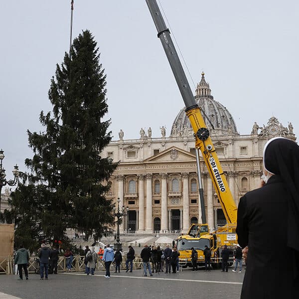 Forest rangers, local towns stop planned cut of Christmas tree for Vatican