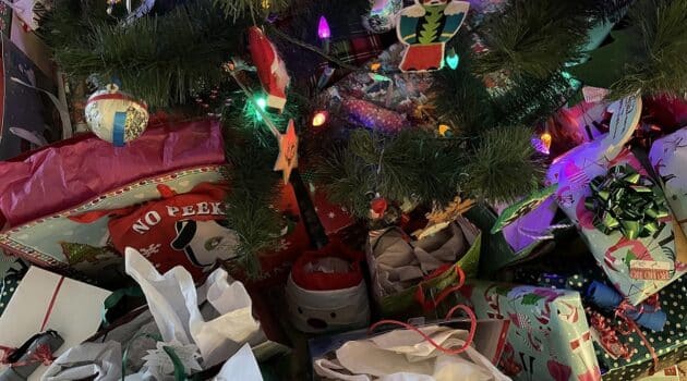 Gifts under a Christmas tree