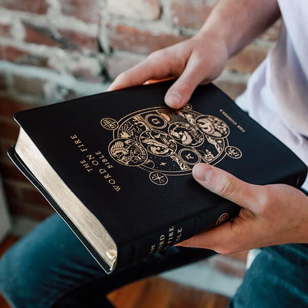 Bible is ‘key to evangelization’ and soul of theology, says Bishop Barron