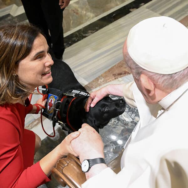 Physical vulnerability can be a resource for society, the church, pope says