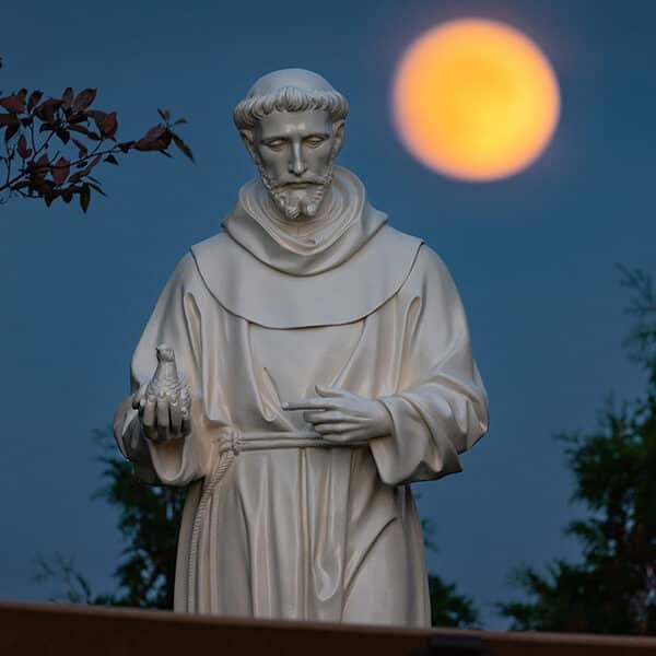 Like St. Francis, we can learn from the poor