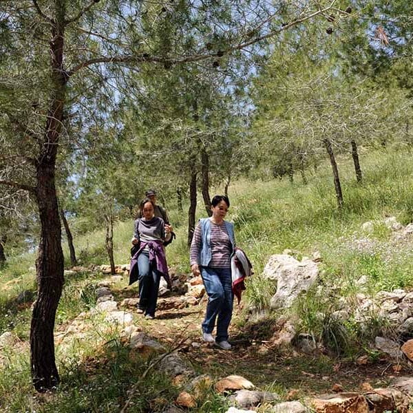 Up and down the mountain this Lent