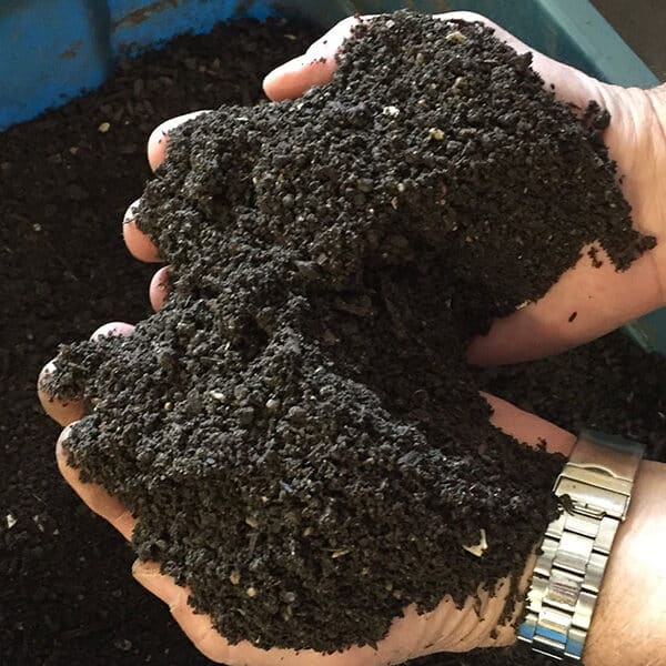 Human composting, alkaline hydrolysis not acceptable for burial, say U.S. bishops