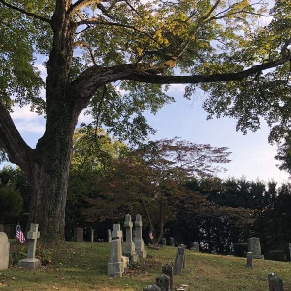 20 ways to support loved ones as they grieve the loss of a baby