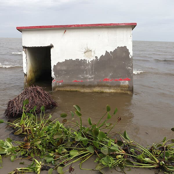 Catholic groups back UN request for international court to act on climate change