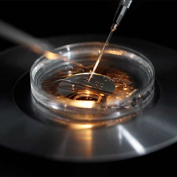 Gallup poll: Majority back birth control, IVF, but almost half see US morality as ‘poor’