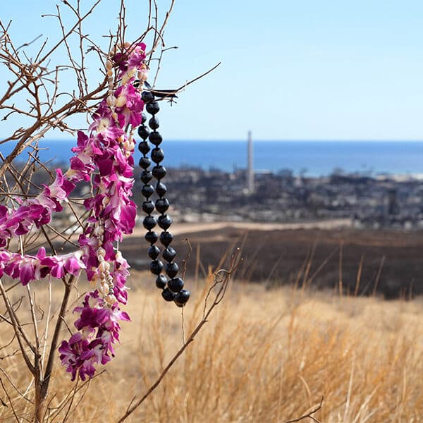A year after historic Maui wildfires, community is resilient, optimistic even as needs persist