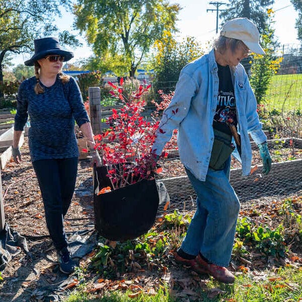 Volunteers relocate Giving Garden from St. Pius X to Immaculate Heart of Mary